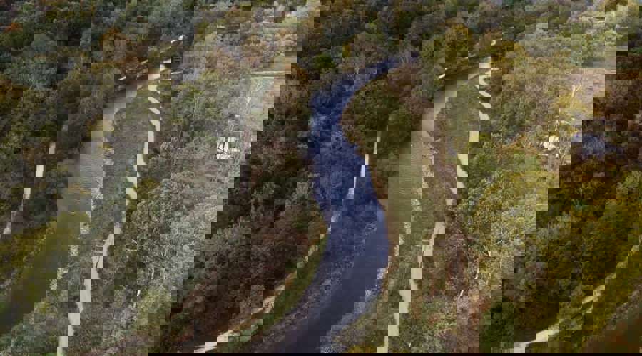 Valley View: Restoring the Missing Link Case Study  Thumbnail