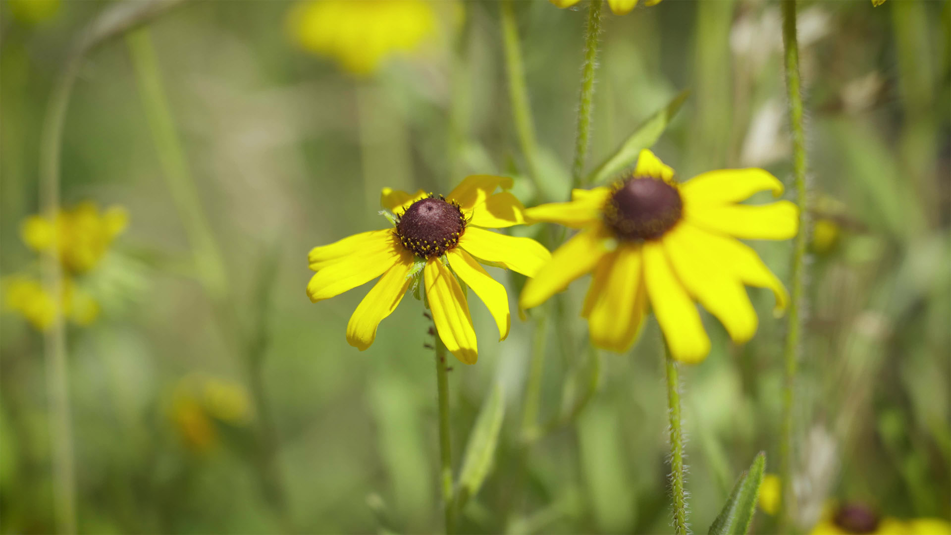 Valleyviewdoc Stills 0015