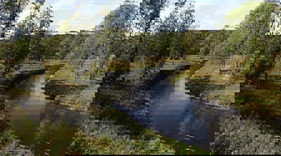 Valley View: Restoring The Missing Link Thumbnail