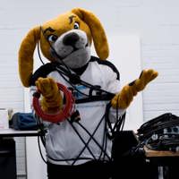 This is Pritt Entertainment Group. (Director's Cut) Blog Post Preview Image