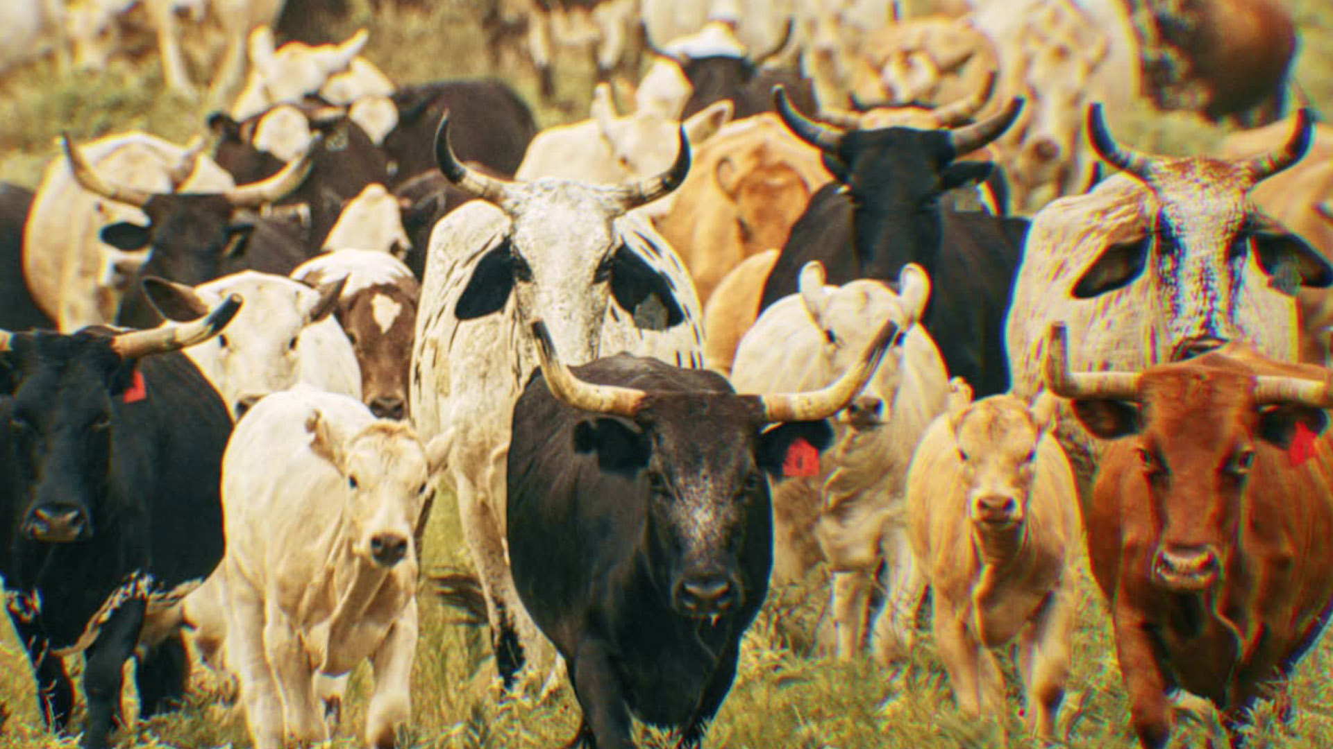 2024Mlballstaropen Stills 0005