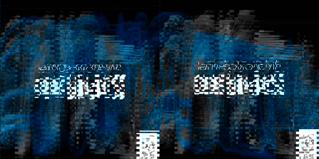 Learning to Color Correct with Color Blindness Blog Image