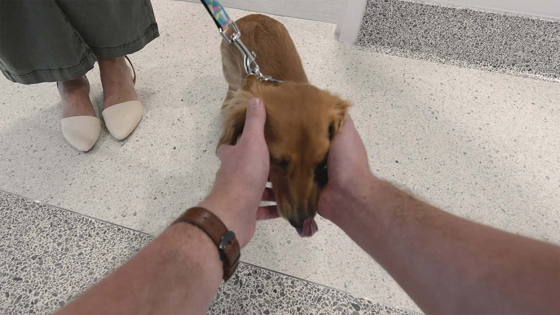 Cakexperience POV Stills 0000